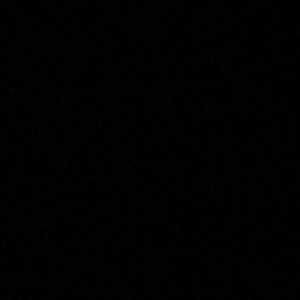 Meet your Posher, Riley